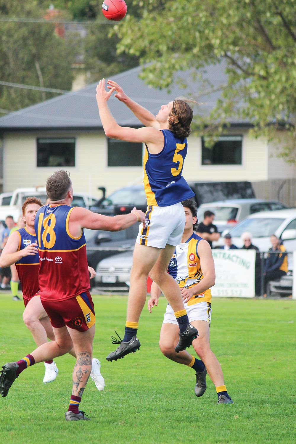 Sea Eagles dominate post image