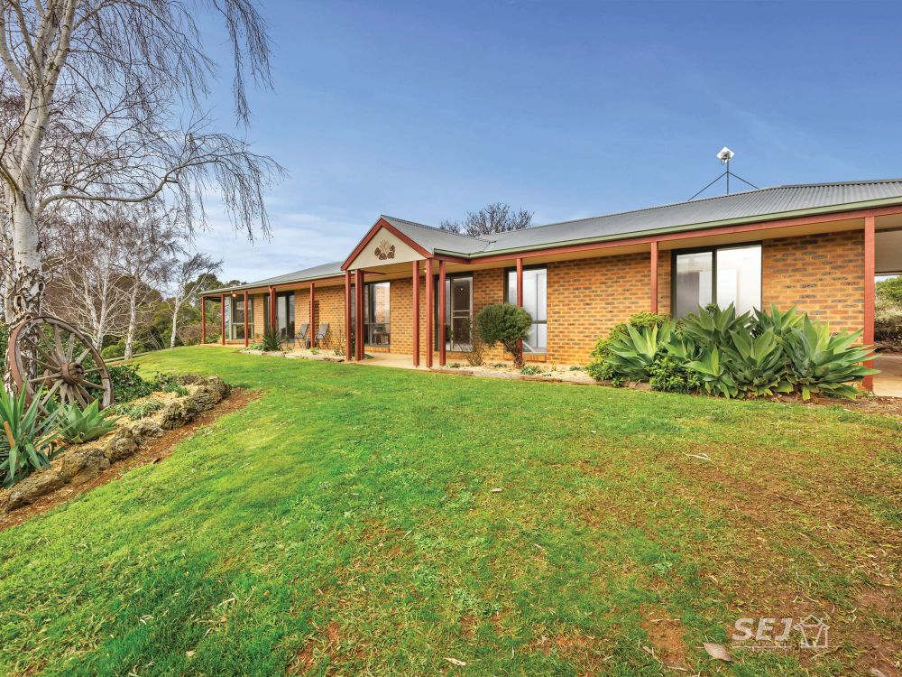 Home, hills and happiness, right here! post image