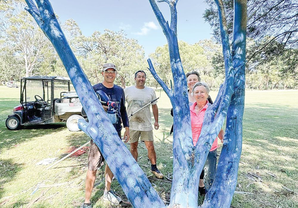 ‘Gatha golf club tree painted blue for men’s mental health post image