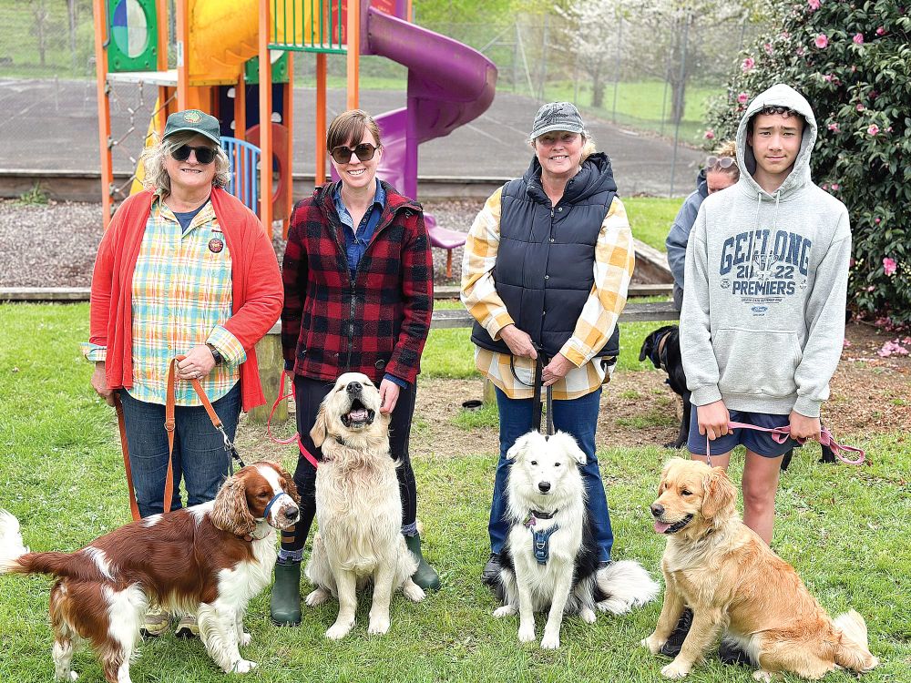 Training dogs to avoid snakes post image