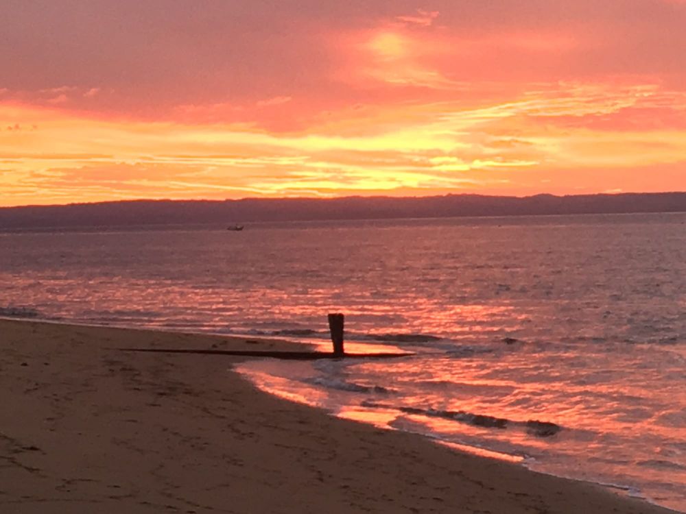 Key gaps identified in Silverleaves erosion response post image