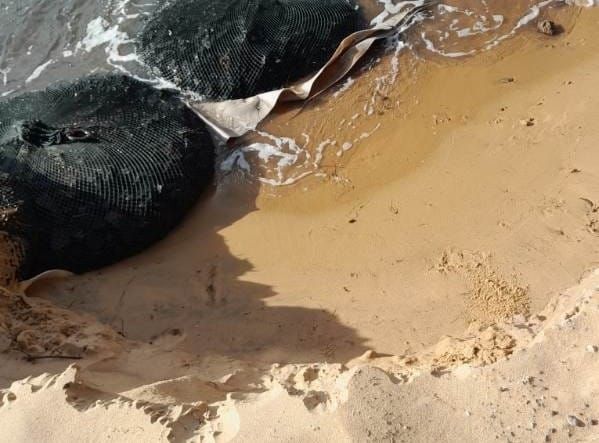 Silverleaves’ erosion works collapse in first storm surge post image