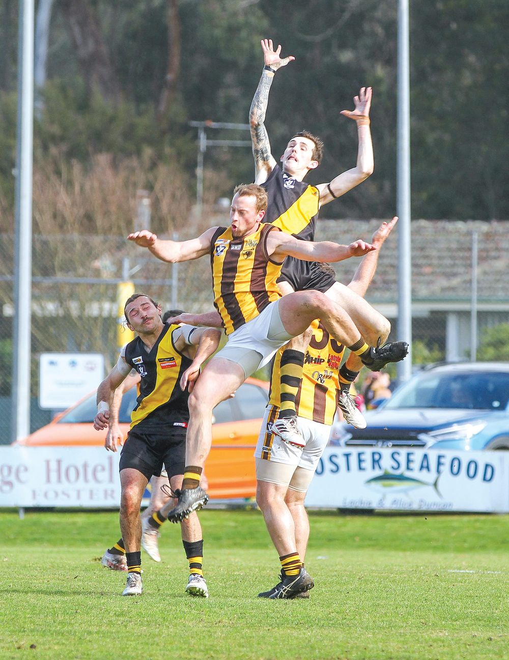 Tigers continue their winning ways post image