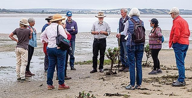Key project to restore coastal mangroves post image