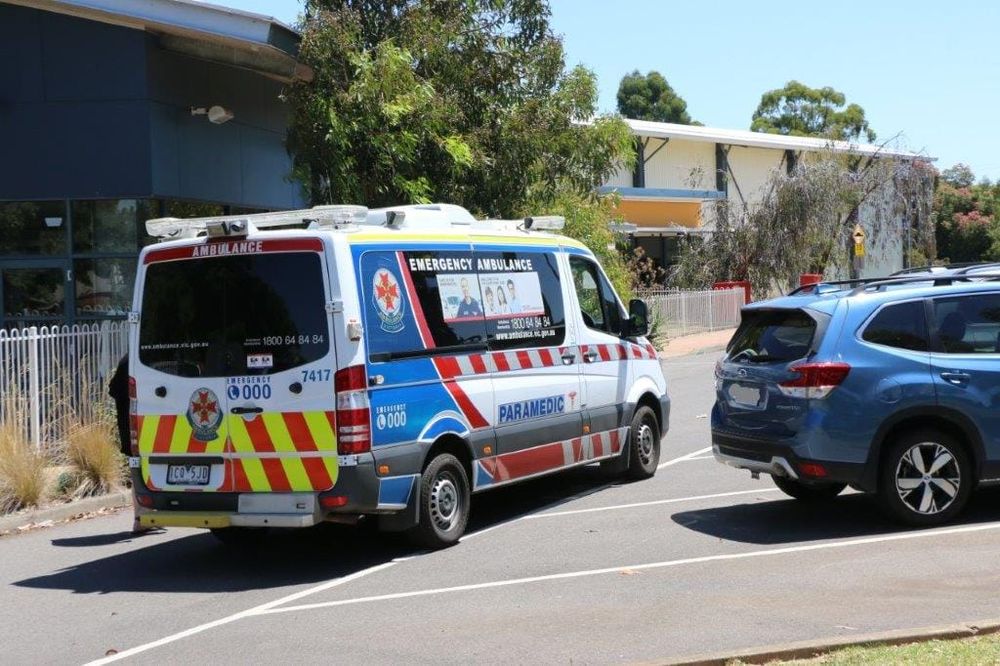 Heat warning: Don’t leave kids or pets in cars post image