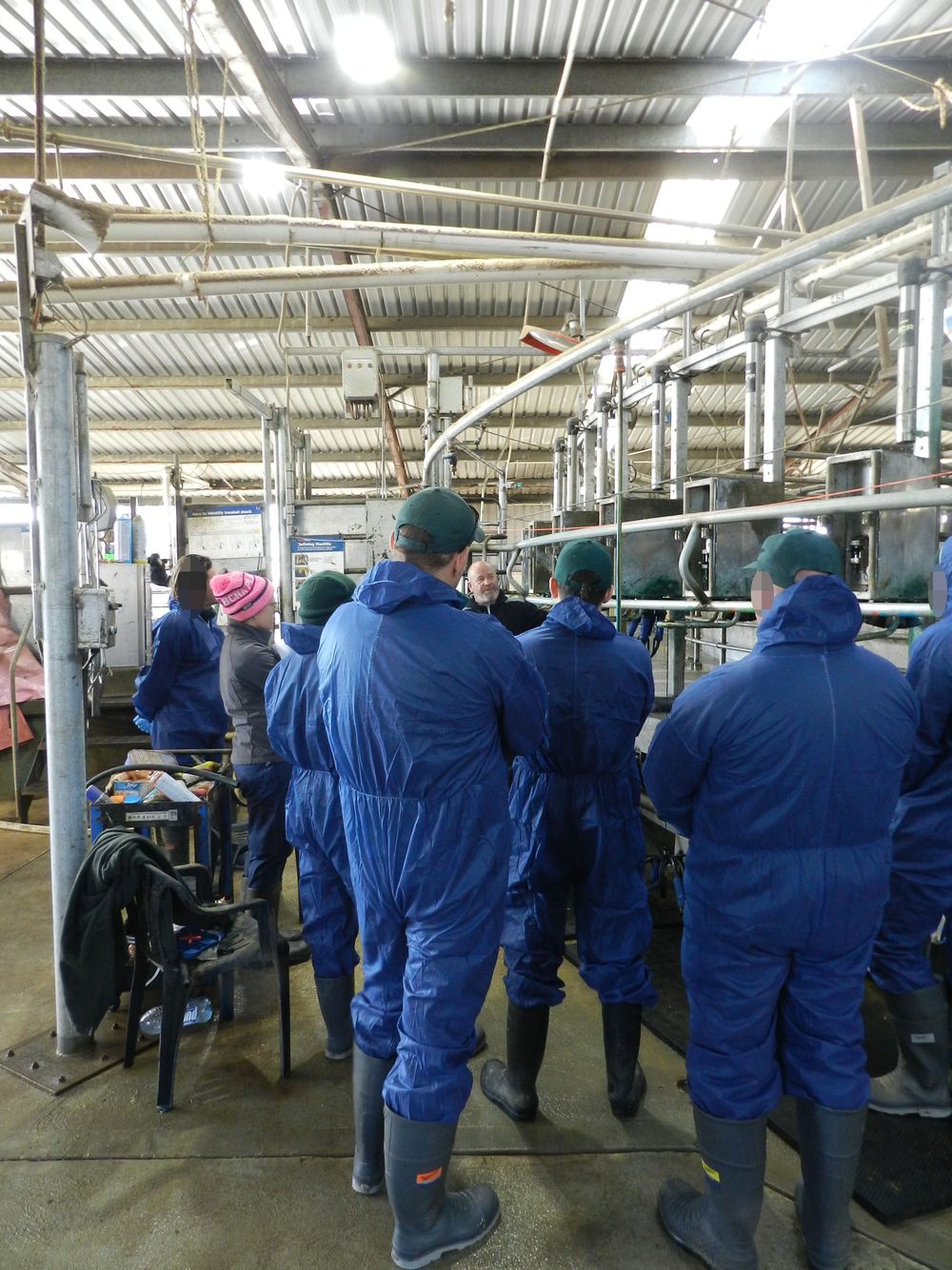 Intensive dairy industry training: A first for men leaving prison post image