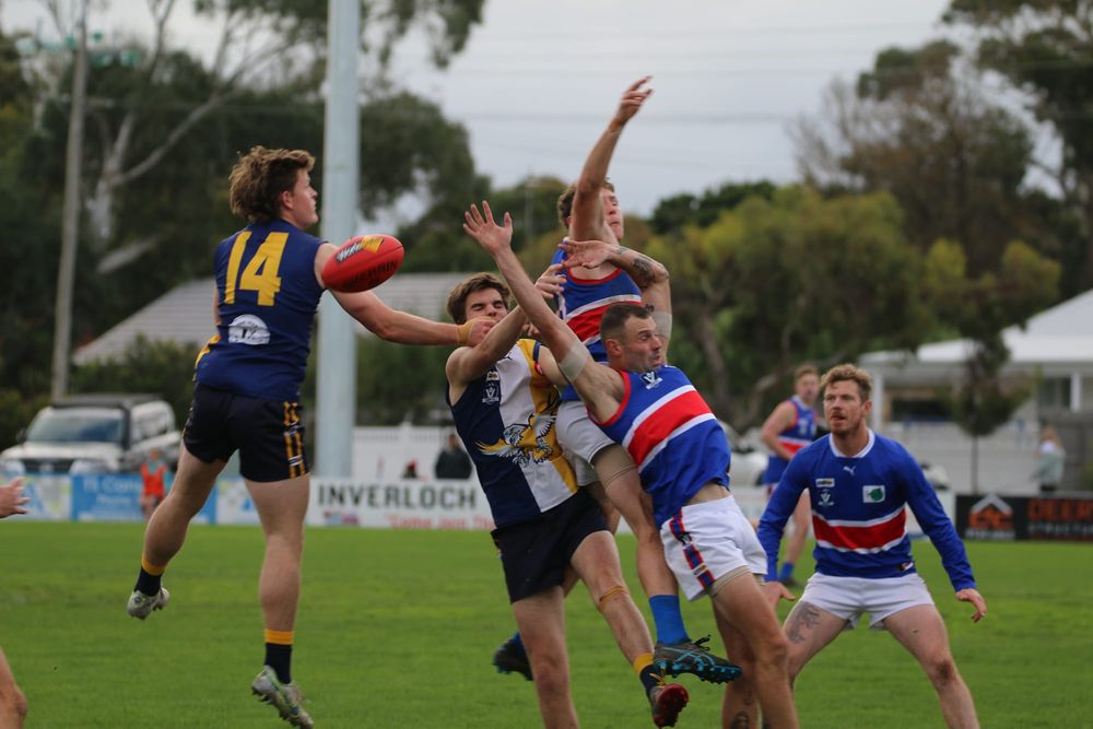 Sea Eagles do it easy over Dogs post image