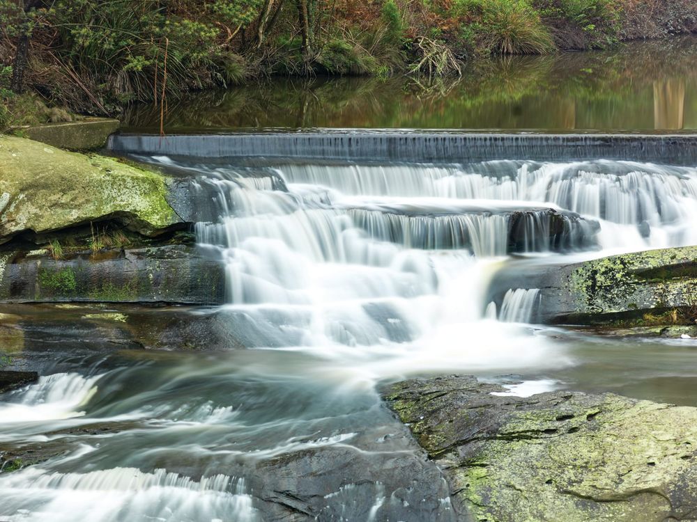 Last willow gone from Agnes River post image