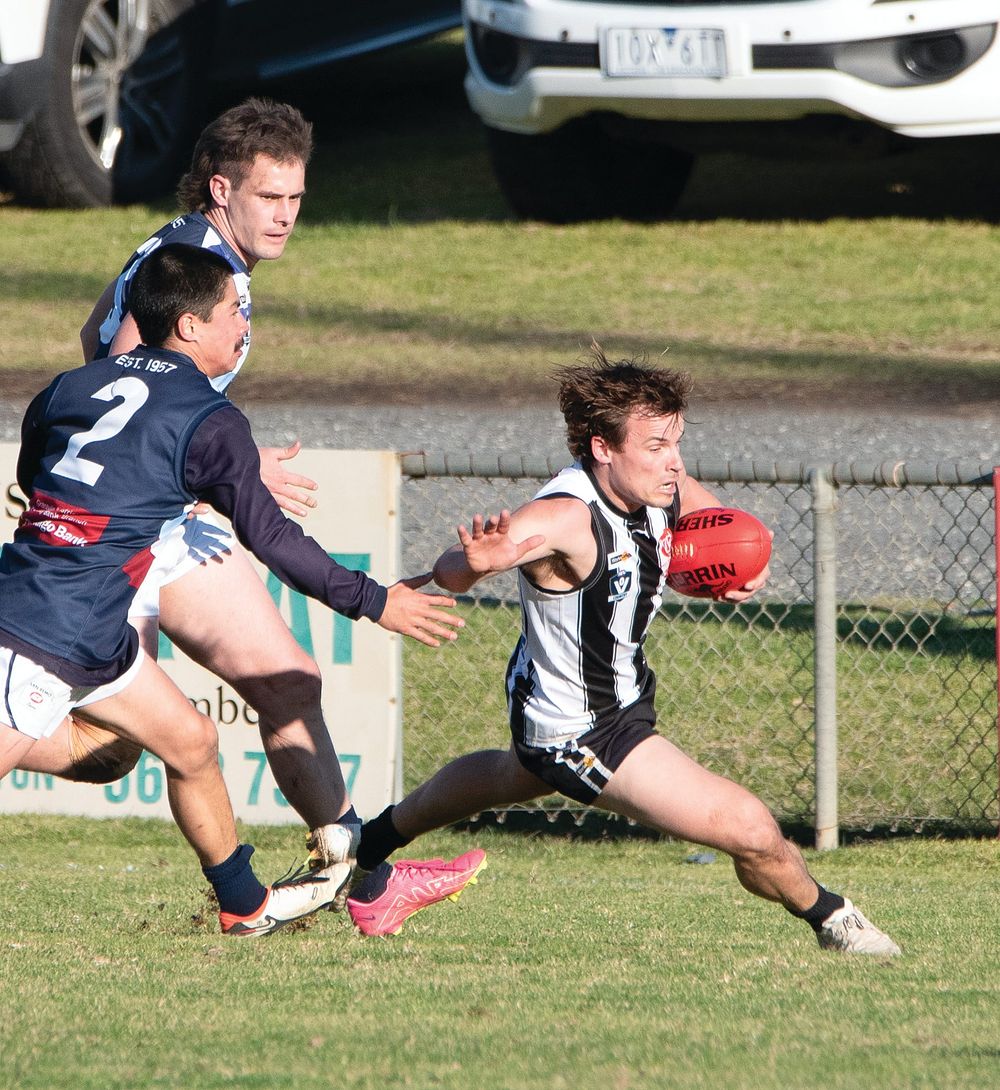 Magpies rise to the occasion post image