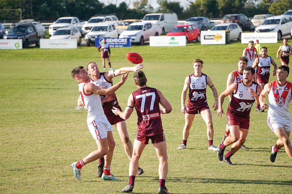 Roos outlast Lions after early roar post image