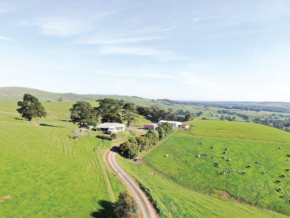 Classic Kernot lifestyle and quality grazing post image