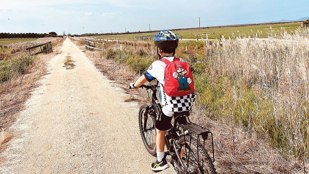 Seven-year-old embarks on epic journey post image