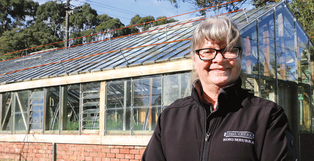 Coal Creek greenhouse gets green light post image