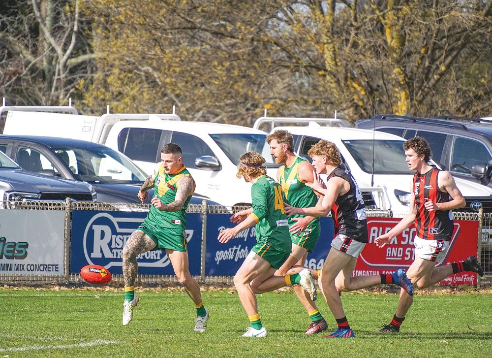 Parrots glide into the semis with a 107-point win post image