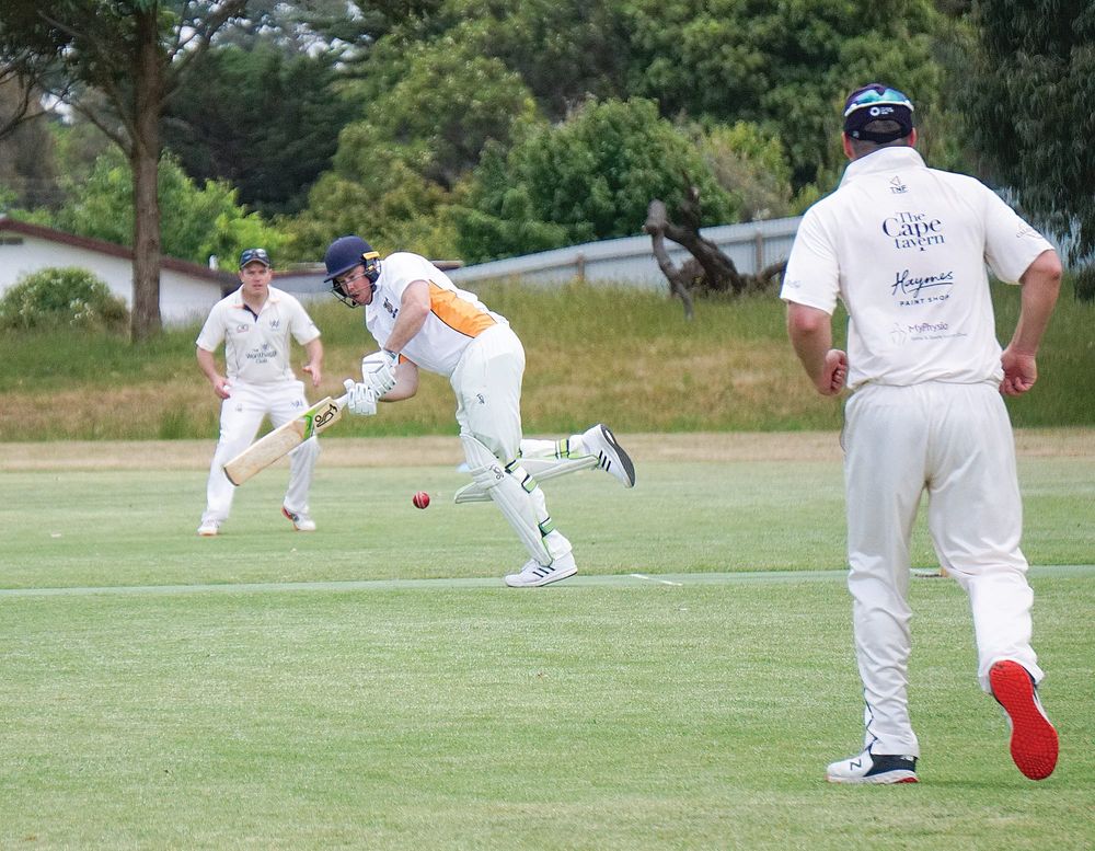 Sharks and Cobras the only premier action post image