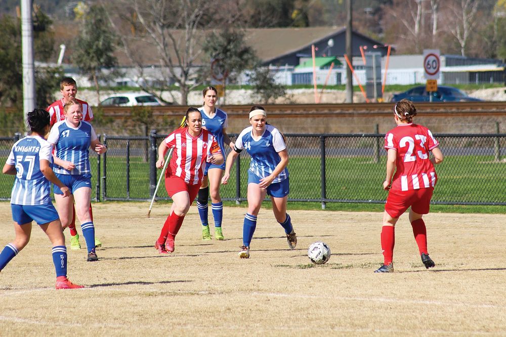 Knights draw in second last round before finals post image