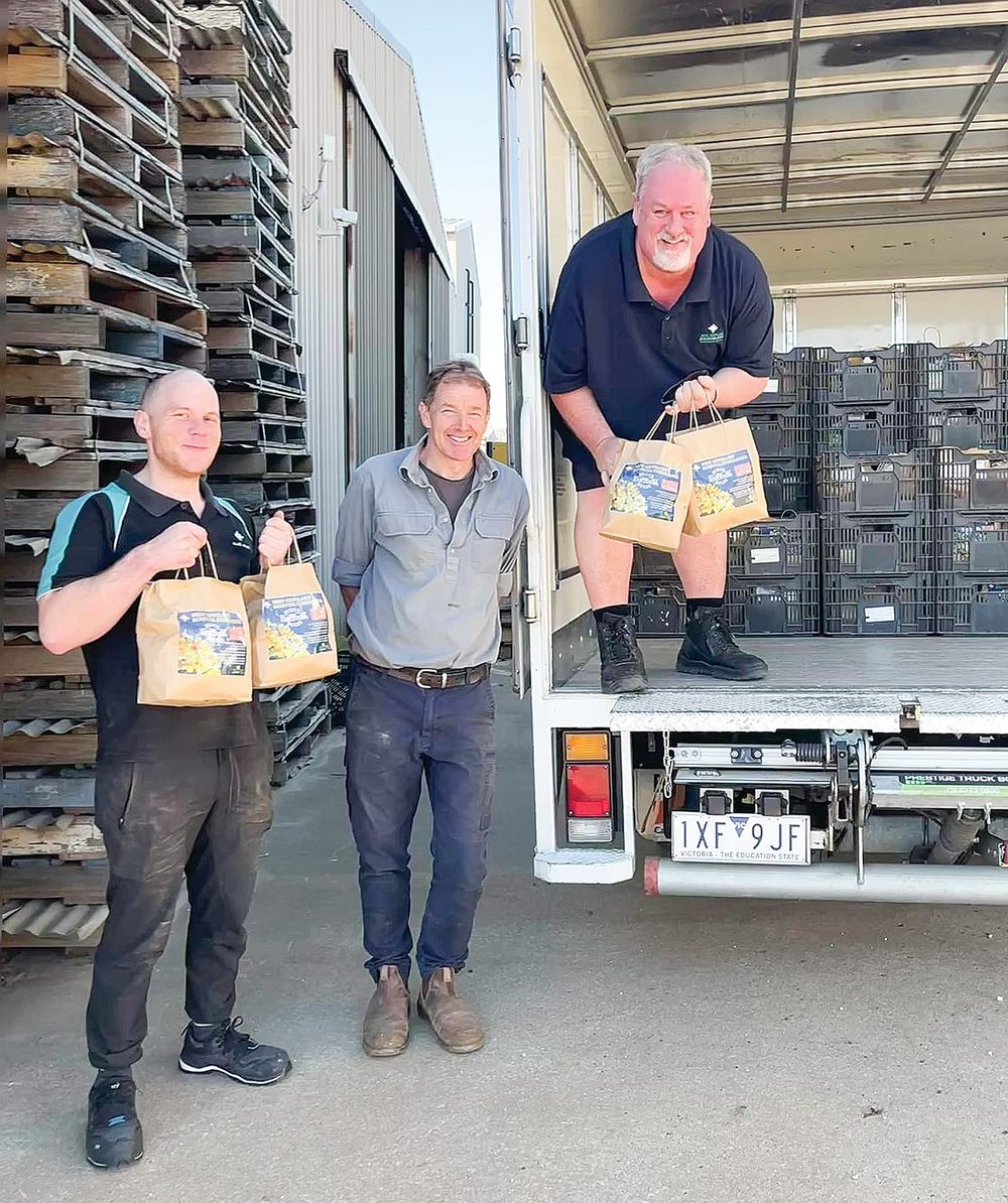 Thirty years of daffodil bulb sales raise over $420,000 post image