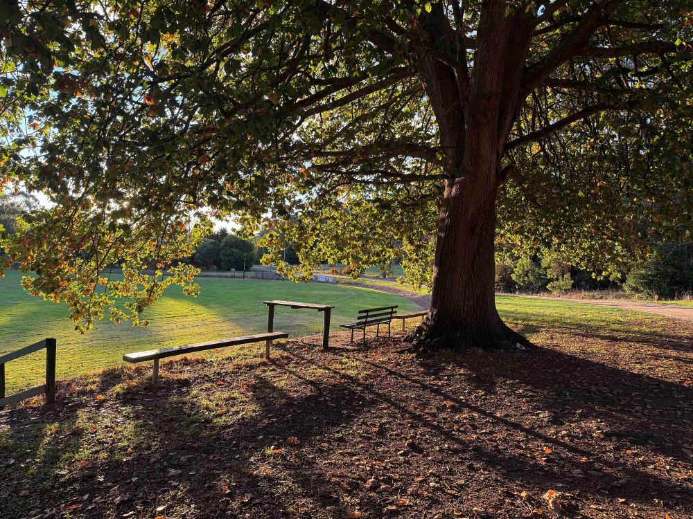 What does it say about Erin Patterson's relationship with Simon and his family? post image