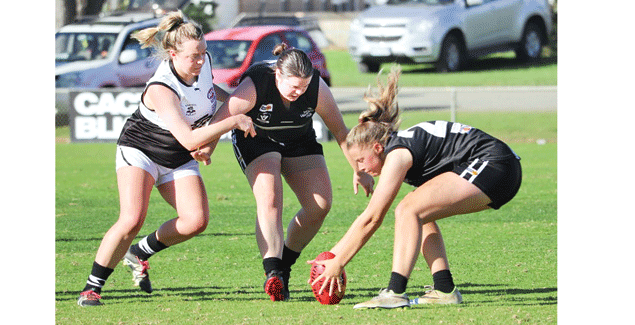 Breakers unbeaten after three post image