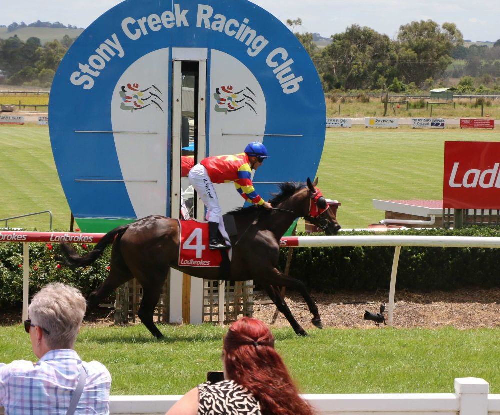 Perfect for racing at Stony Creek on Friday post image