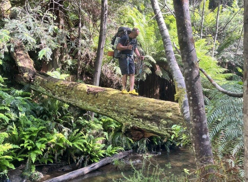 Walking to an epic Christmas adventure post image