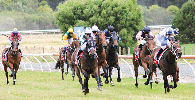 Fun family day out at Stony Creek post image