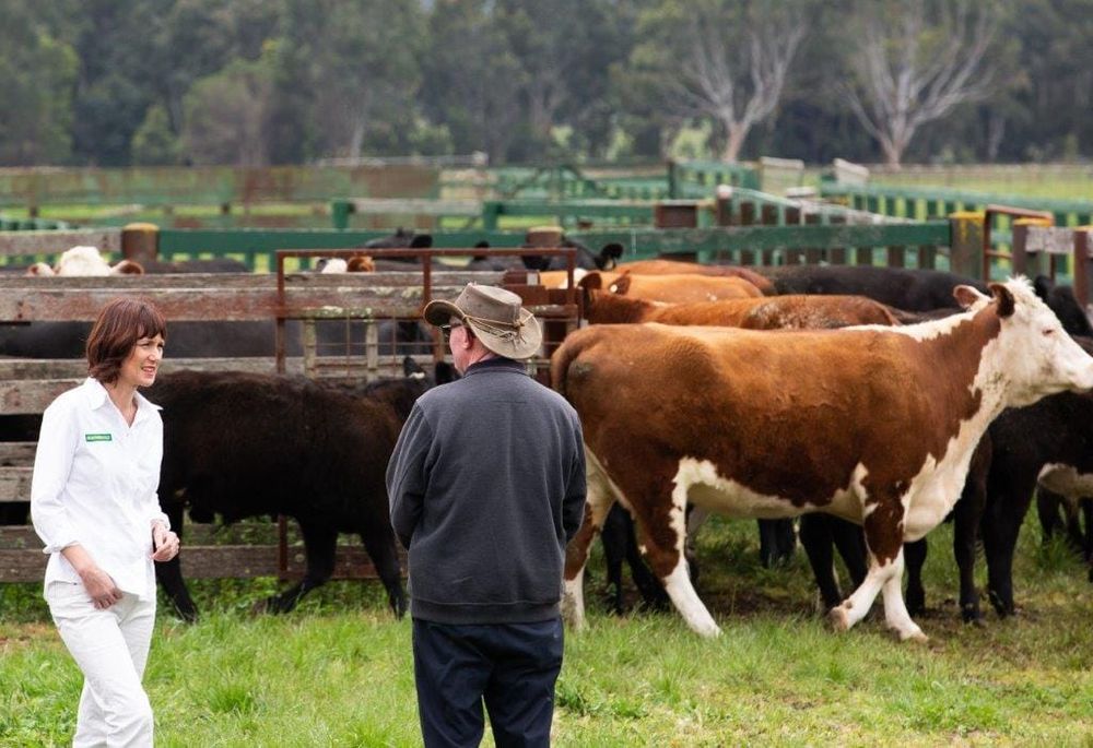 Update your biosecurity plans, says Melina Bath MP post image