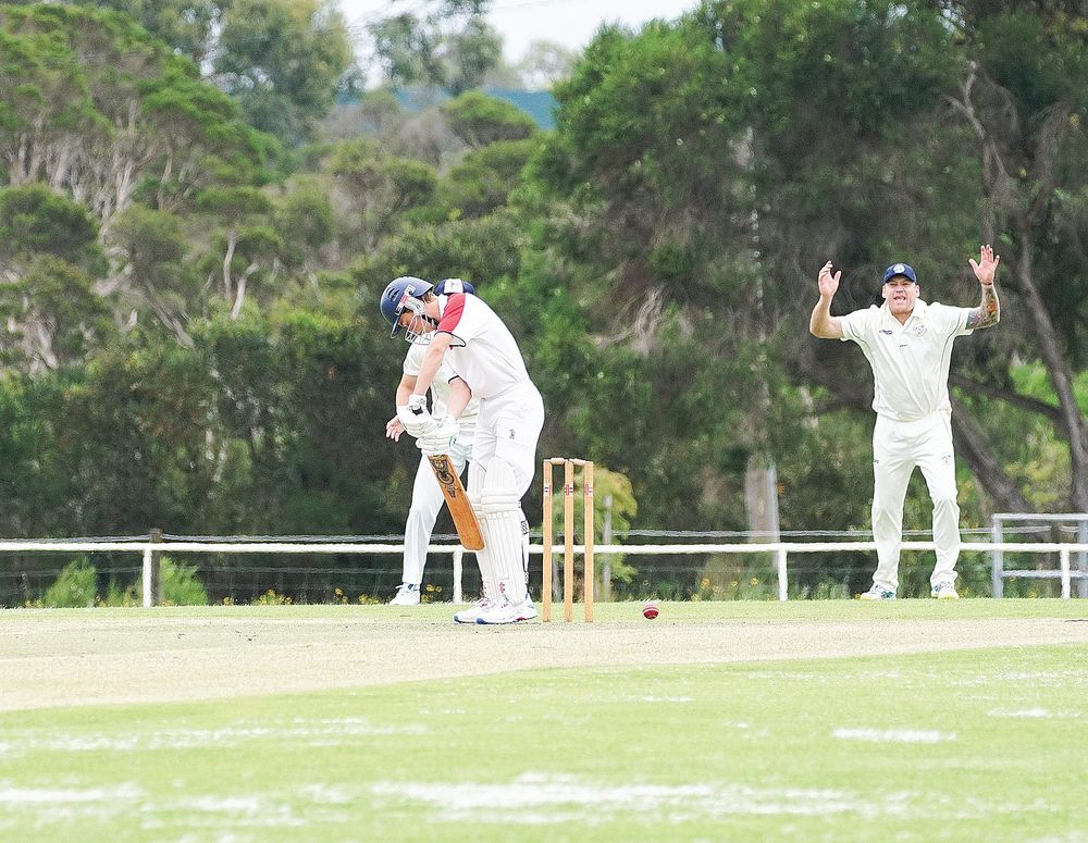 Donohue and Dakin dominate post image