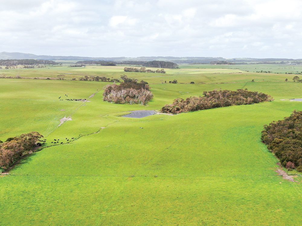 Welcome to Ivy Park post image