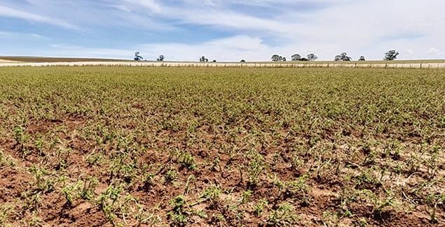 Rural aid stands with farming families post image