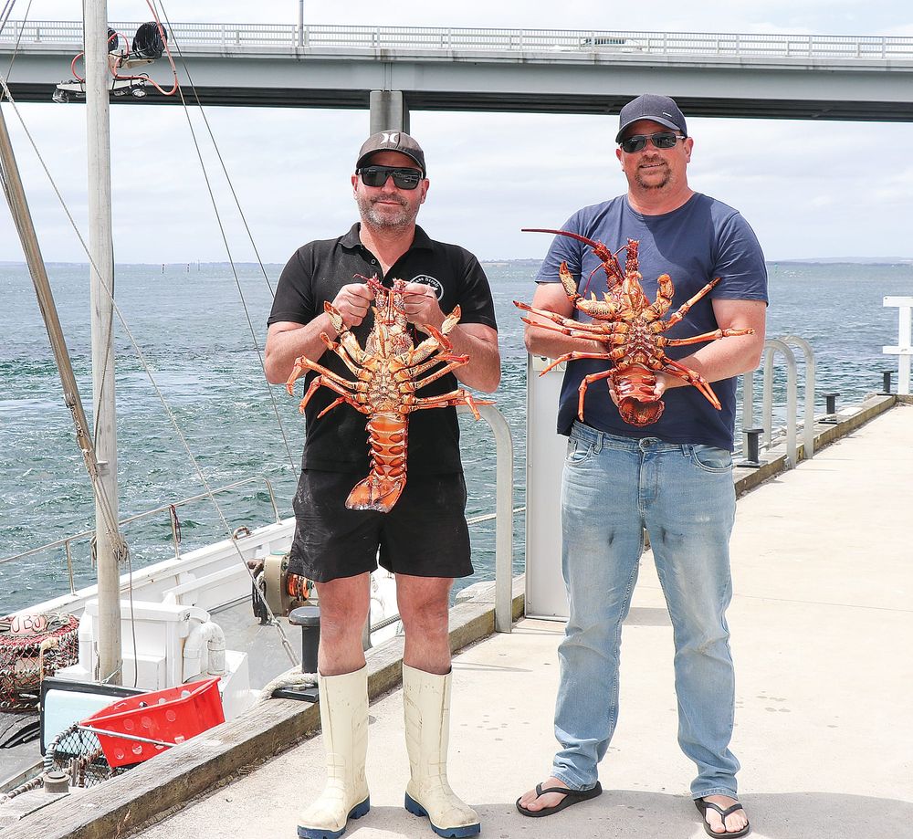 Fishy practices in seafood industry post image