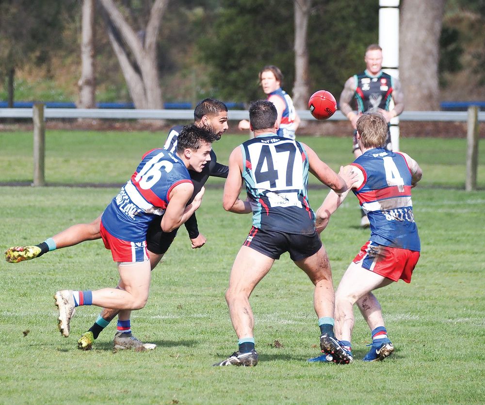 Bulldogs fail the litmus test at the Cobradome post image