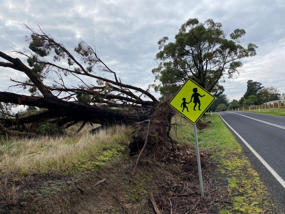 116 roads still on shire’s storm list post image