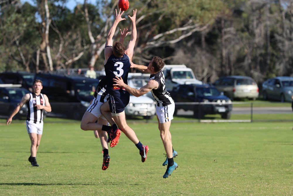 Panthers make it four from four post image