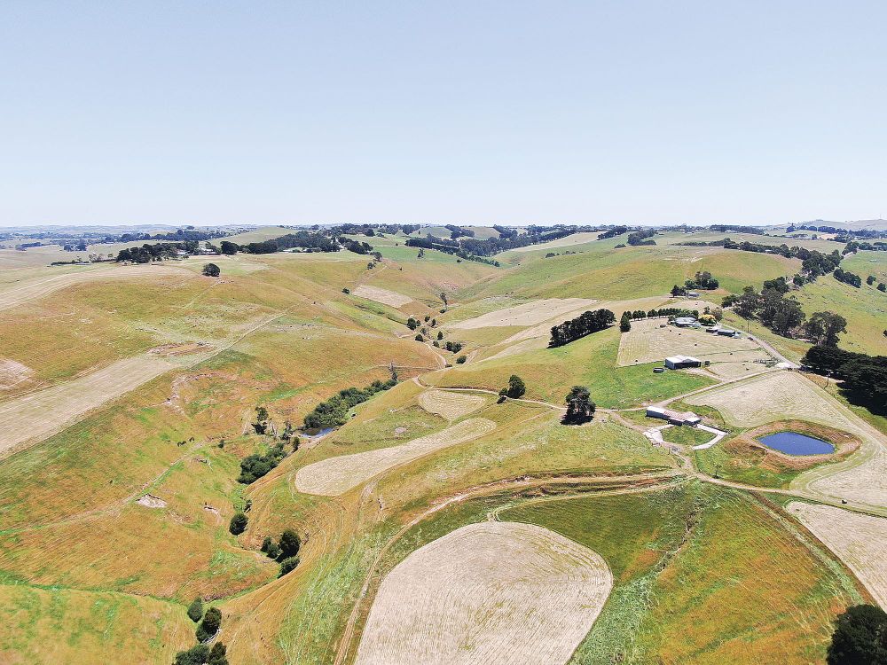 109 acres of options post image