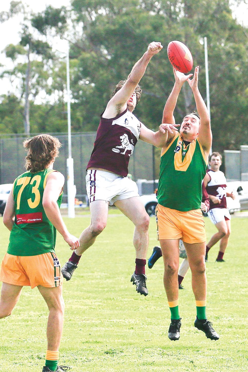Lions dominate Hillsmen post image