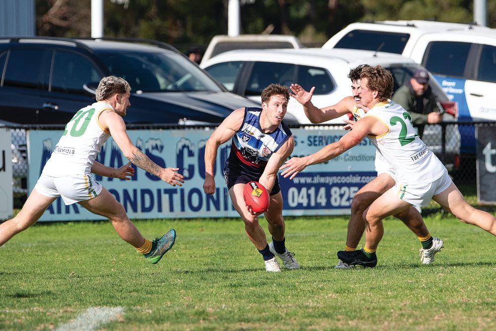 Panthers pounce on another win post image