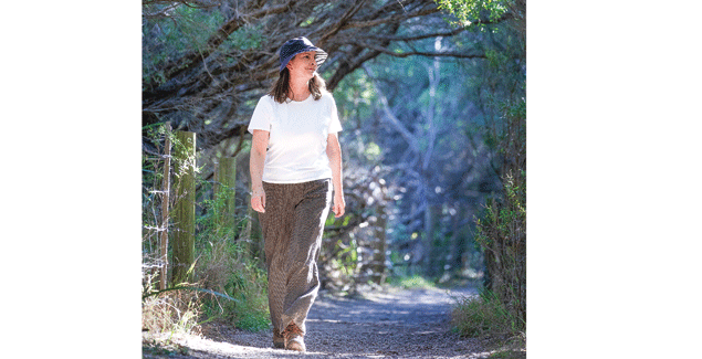 Looking for places to walk and be active outdoors? post image