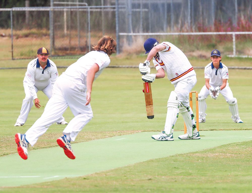 Sharks show their might post image