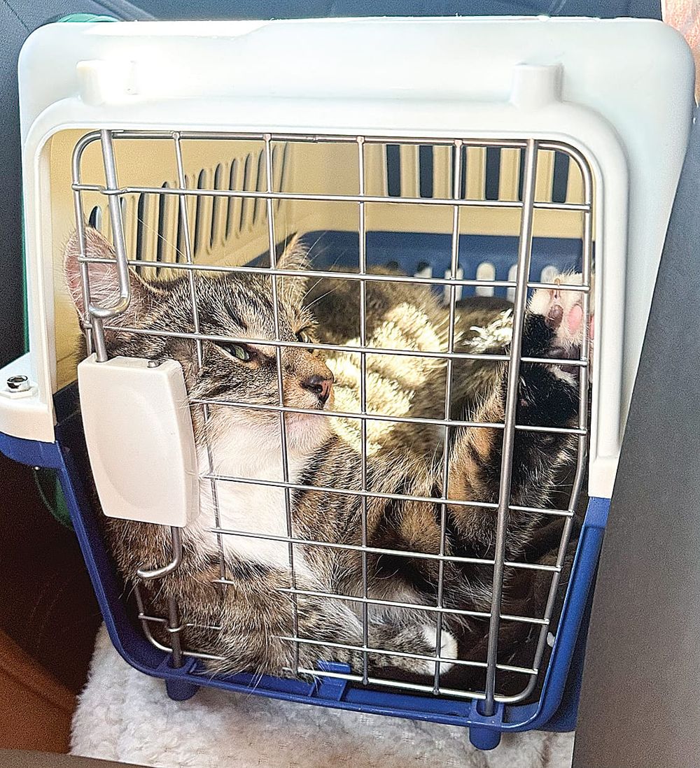 Funding helps Animal Aid continue caring for furry friends post image