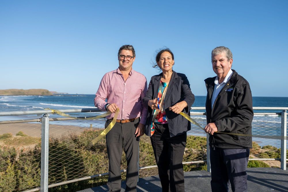 Record numbers flock to see little penguins waddling home post image