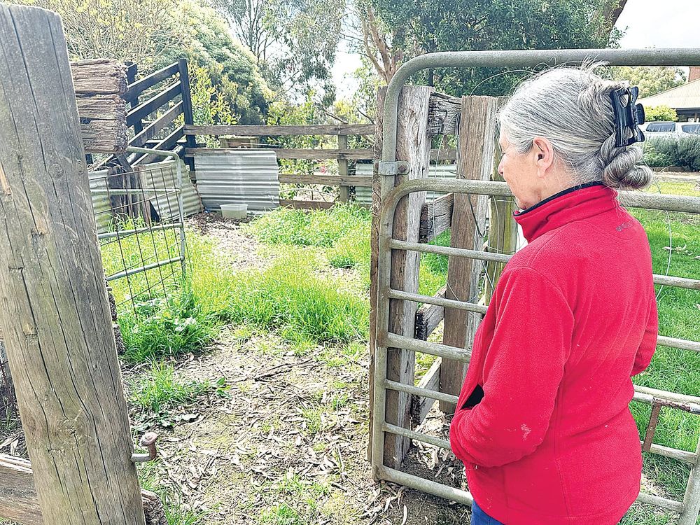 Dog attack leaves Jumbunna community horrified by laws post image