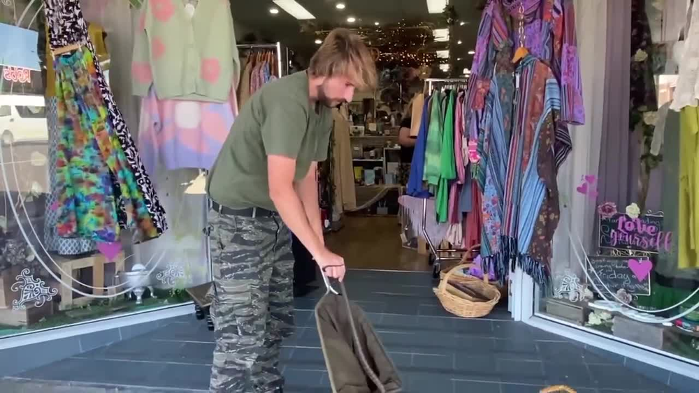Tiger snake caught in Wonthaggi's main street post image