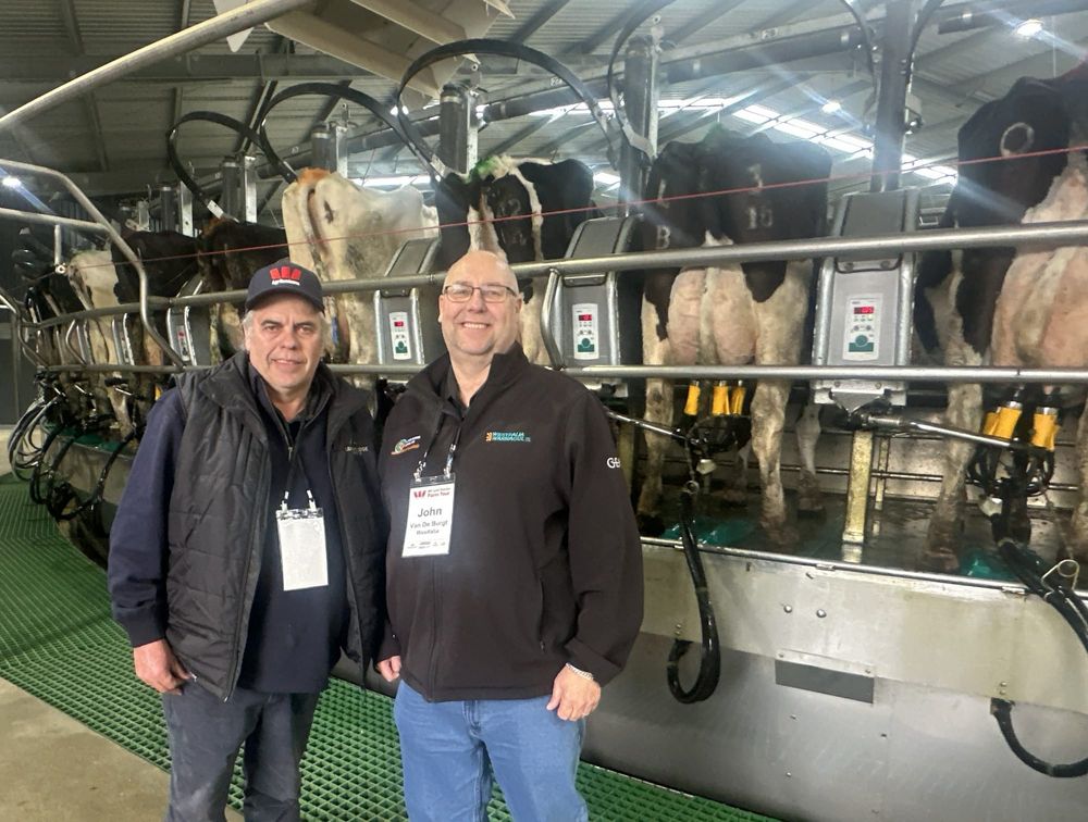 100 unit rotary milking parlour opens up options for Nyora farming family post image