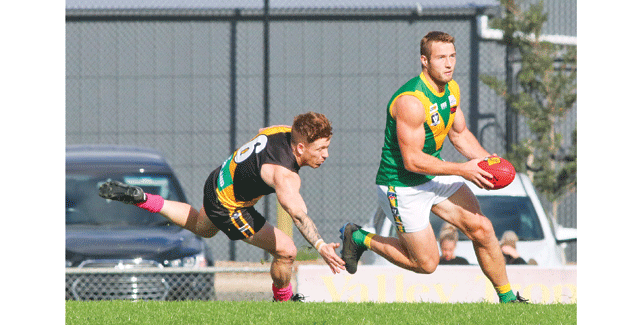 Injury concerns as Parrots turn from Tigers to Eagles post image