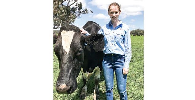 Scholarships to boost the dairy industry post image