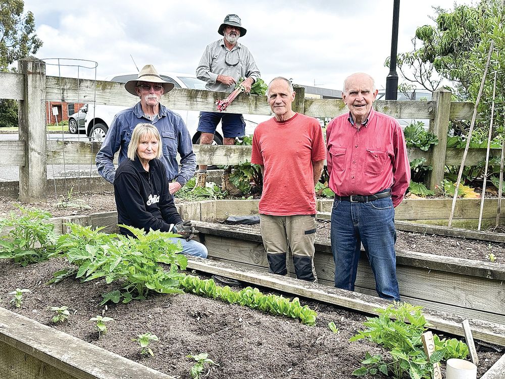 Disappointing theft from a charity garden post image