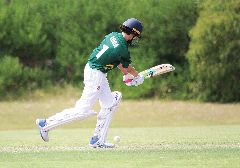 Leongatha & District juniors shine again post image