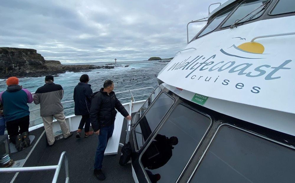 Wildlife Coast Cruises is the 2022 Bass Coast Business of the Year post image