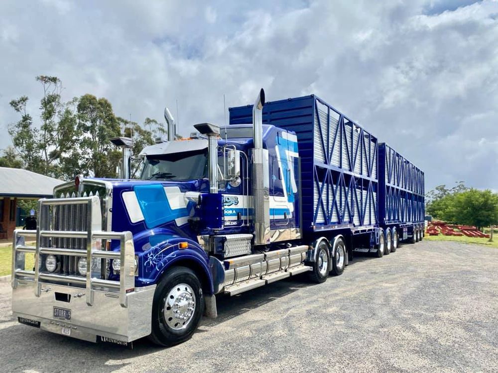 How the new 'Truckie Tax' will hit your grocery bill post image